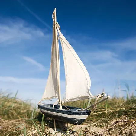 Muschelgrund Cuxhaven