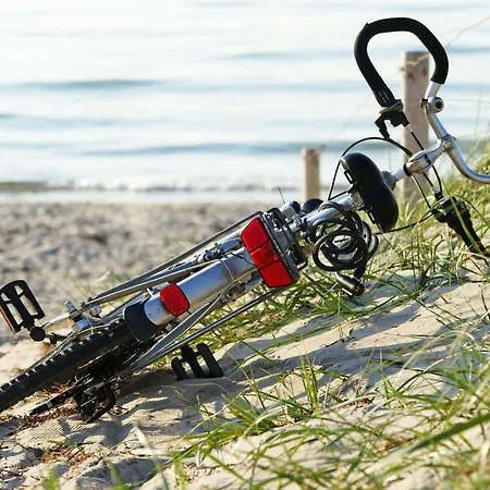 Muschelgrund Cuxhaven