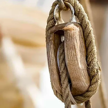 Muschelgrund Cuxhaven